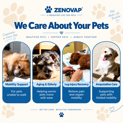 Zenovap™ Dog & Cat Travel Harness
