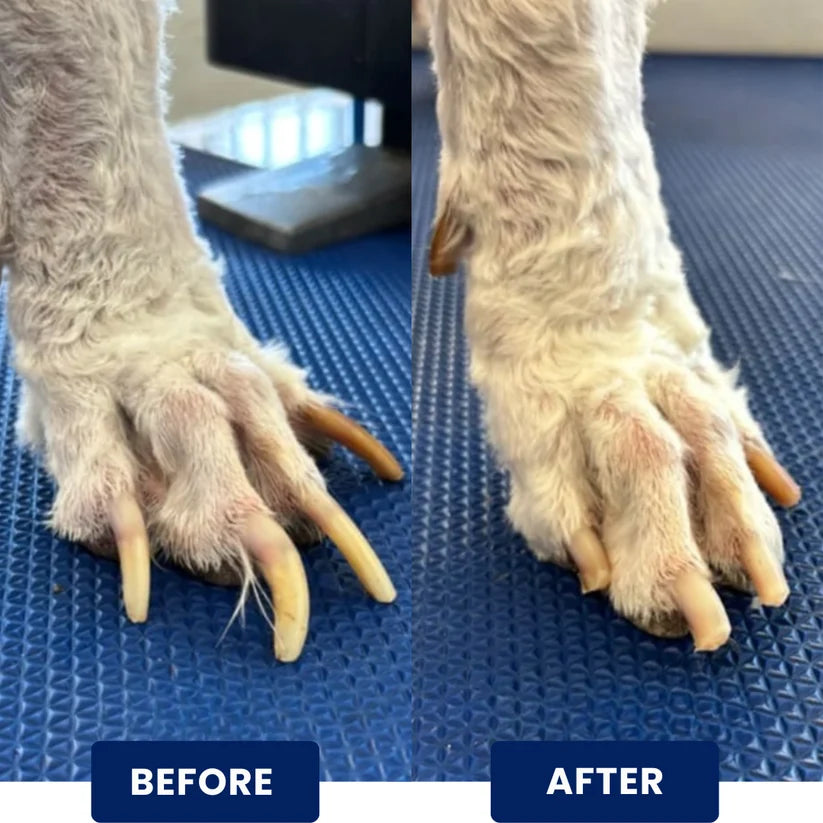 Zenovap™ Stress-Free Nail Care