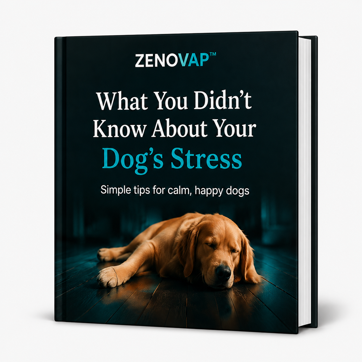 What You Didn't Know About Your Dog's Stress
