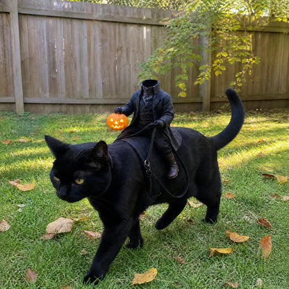 ZENOVAP™ Phantom Paws