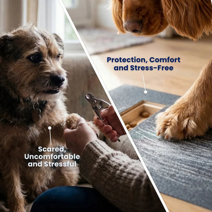 Zenovap™ Stress-Free Nail Care